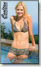 Gold Zebra boyshorts